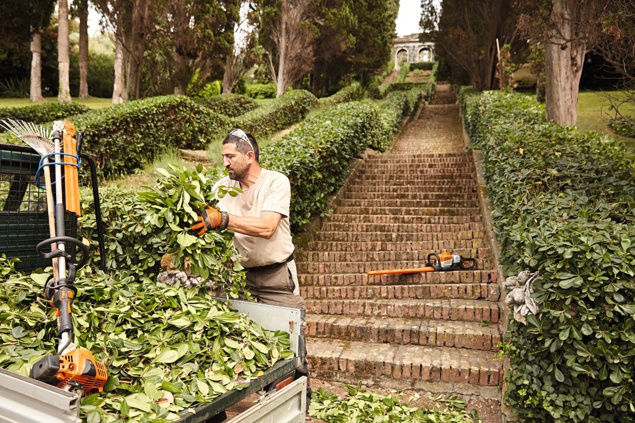 Hedge trimmer