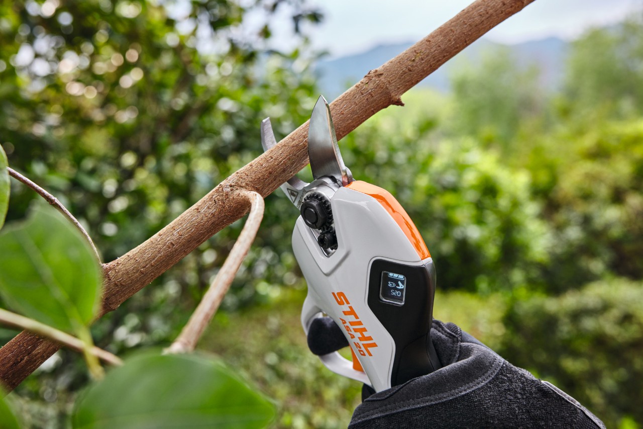 pruning shears