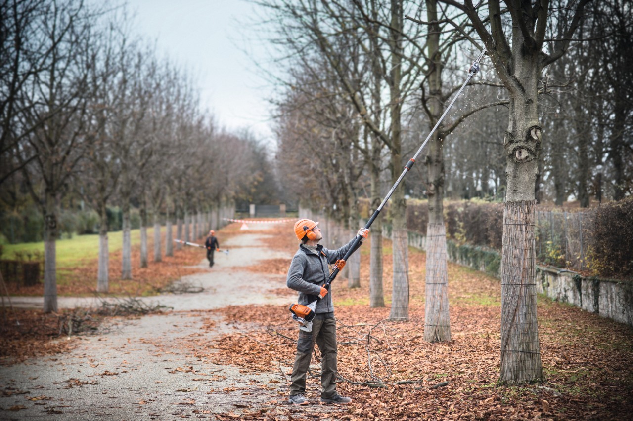 pole pruner
