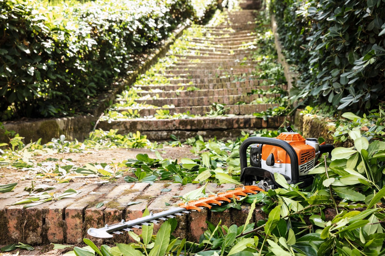 pretrol hedge trimmer
