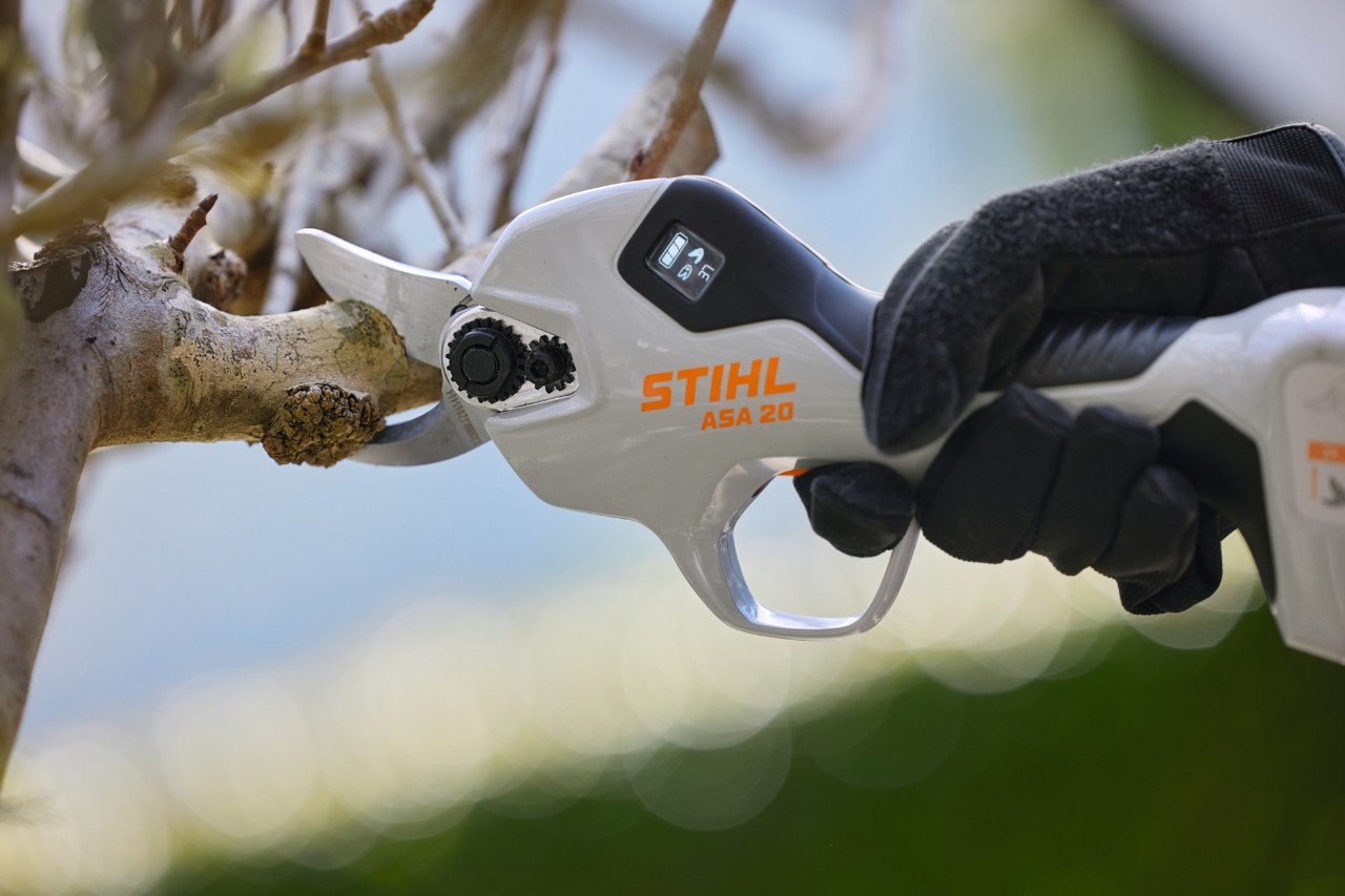 Battery Pruning Shears
