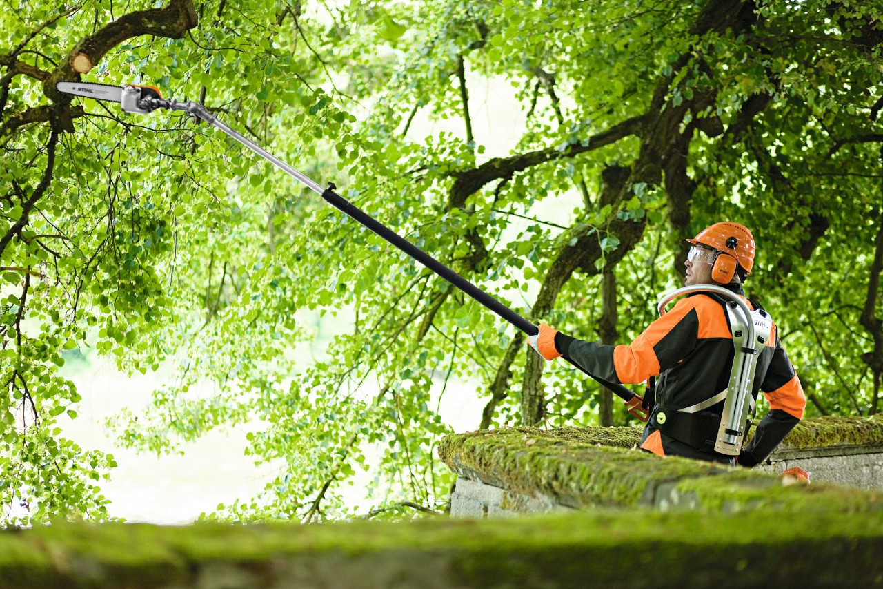 Pole pruner
