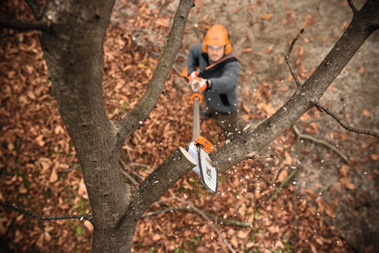 Pole pruner