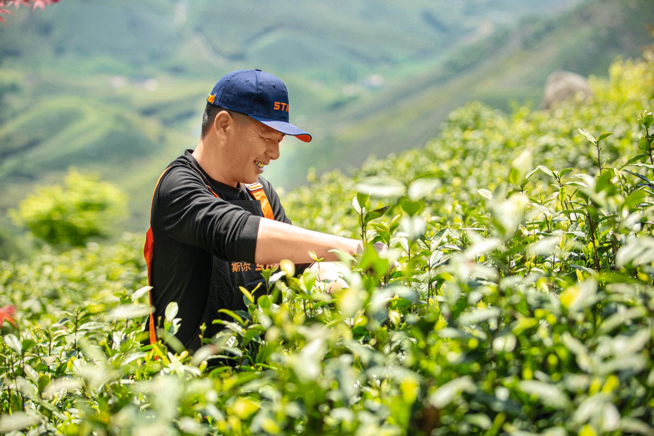 A man Working in his farm