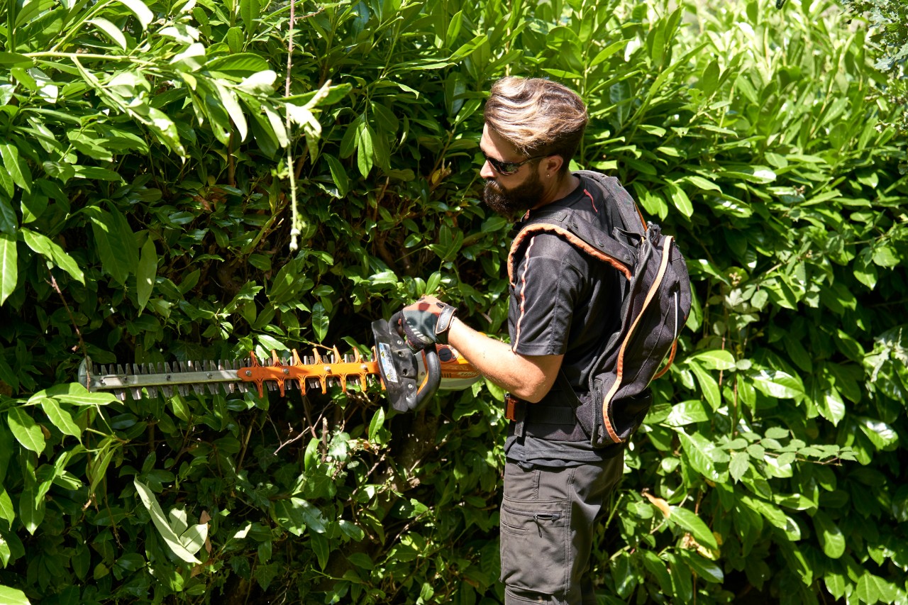 A professional wearing protective equipment trims a hedge with a STIHL cordless hedge trimmer