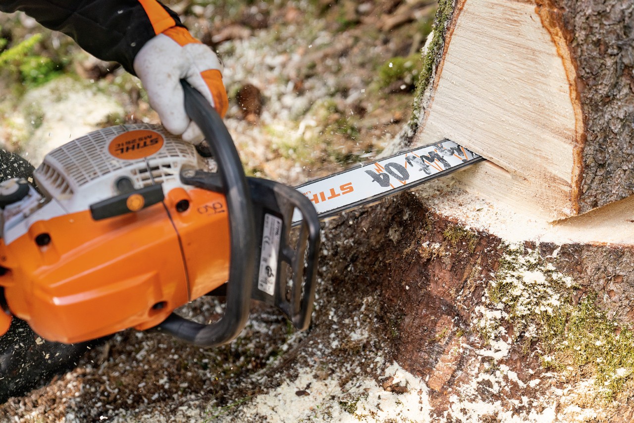Only with chainsaw certificate: a person using a STIHL MS 261 C-M petrol chainsaw with a Light 04 guide bar to cut a tree trunk in the forest