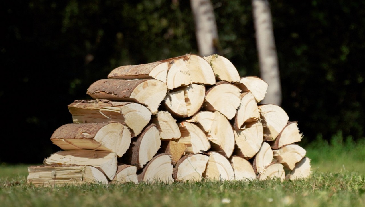 Stack of logs after cutting firewood