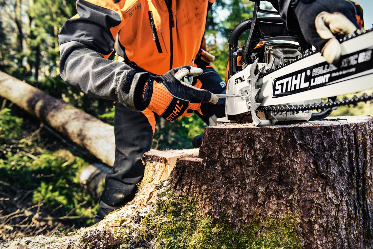 A STIHL MS 461 petrol chainsaw on a tree trunk as a person in protective clothing unscrews the chain sprocket cover