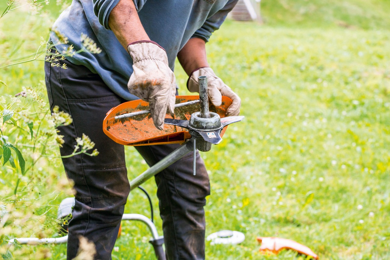Cleaning the mowing head during maintenance of the STIHL FS 131 brushcutter