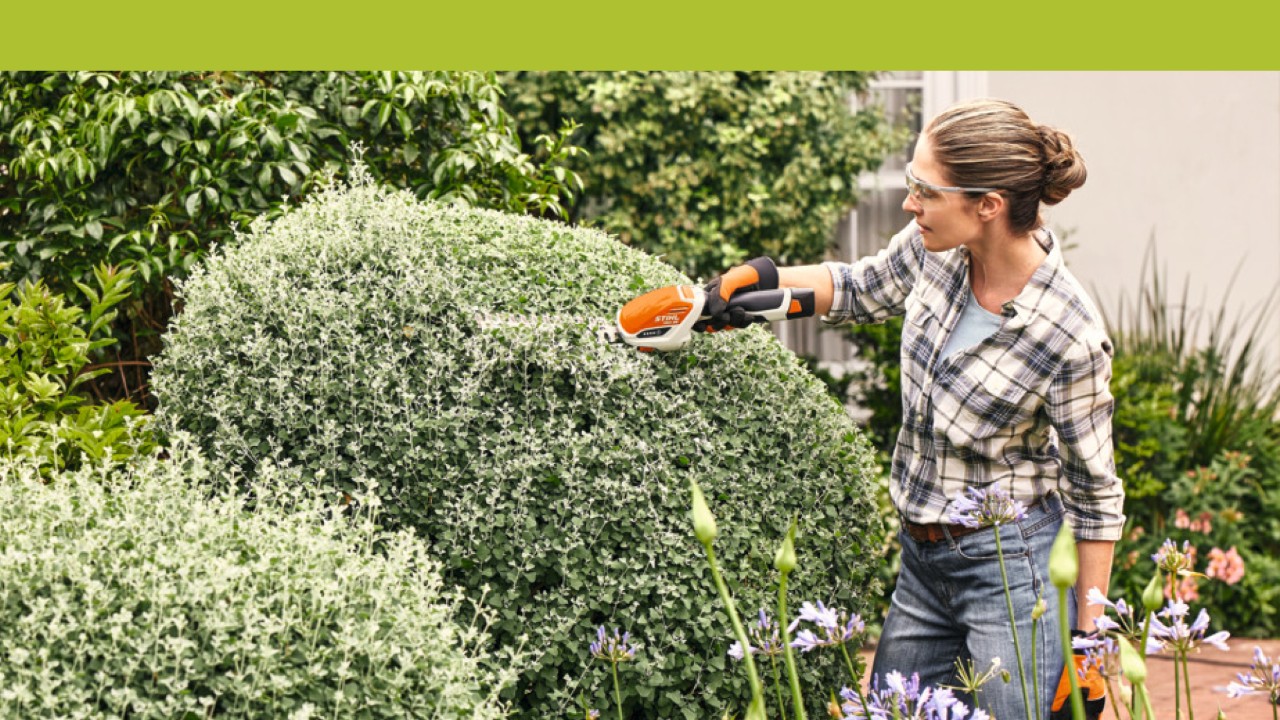 A woman pruning a hedge
